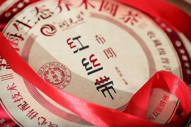 2022年润元昌布朗红丝带普洱茶