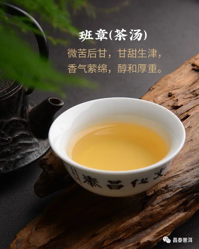 昌泰普洱2022年茶壶陈班章普洱茶