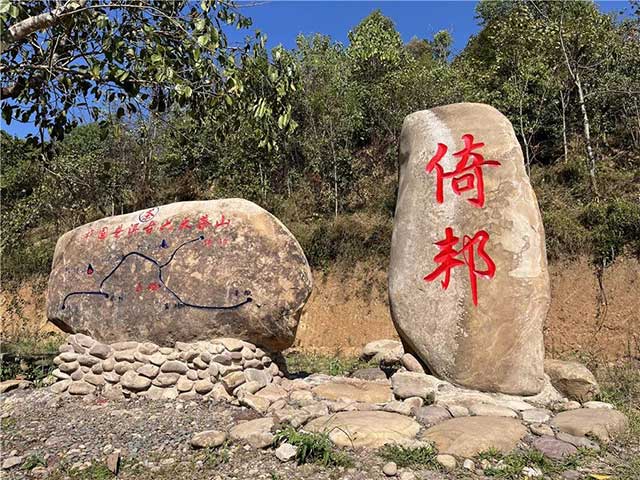 倚邦古茶山