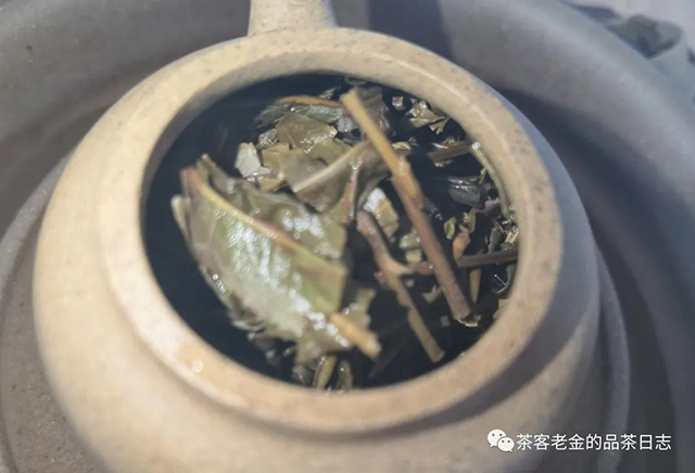 斗记2020年疯斗普洱茶