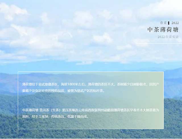 2022中茶薄荷塘普洱茶