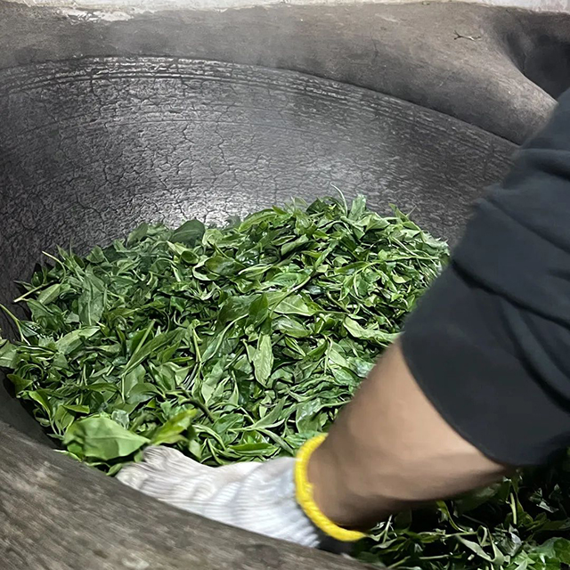 2022中茶薄荷塘普洱茶