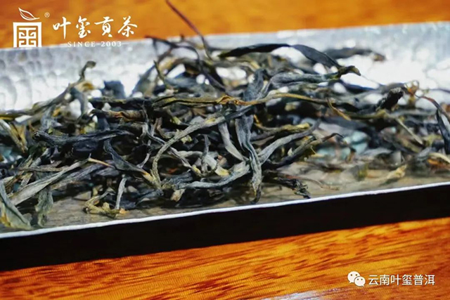 叶玺普洱清风泉普洱茶