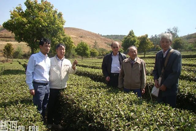 昆明十里香茶