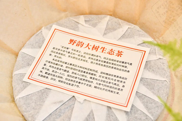 八角亭2021年班章五寨野韵大树生态茶