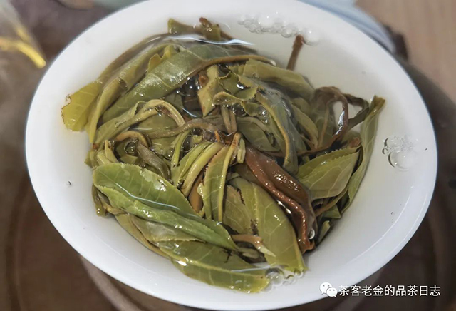 茶厨2022年挑采茶王树普洱茶