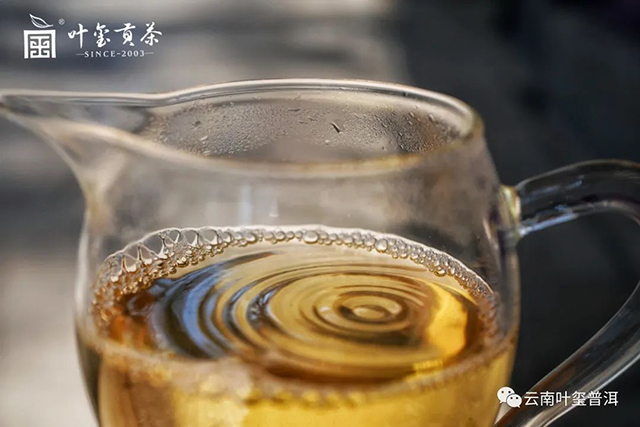 叶玺大易武普洱茶