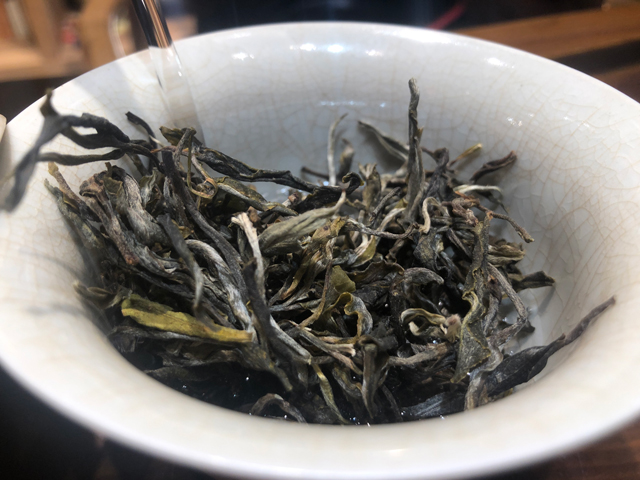 蓝版摆尾箐普洱茶小饼