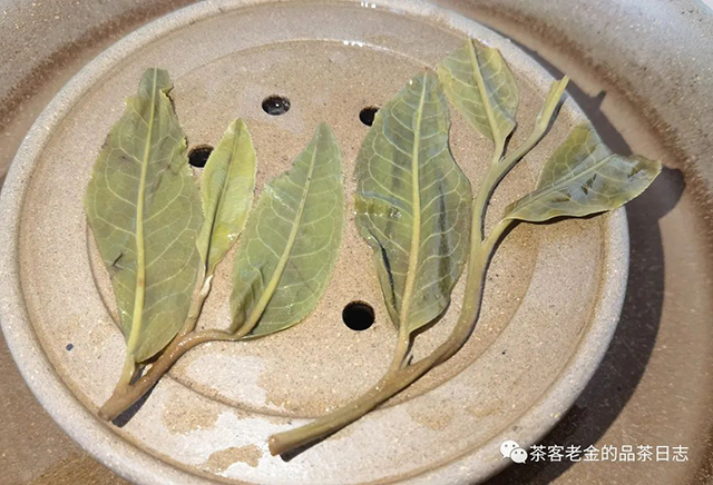 流星赶月2022年拔玛正山春茶普洱茶