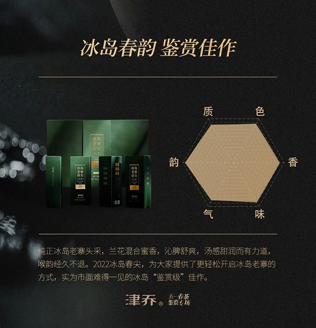 津乔普洱冰岛老寨春尖头采普洱茶
