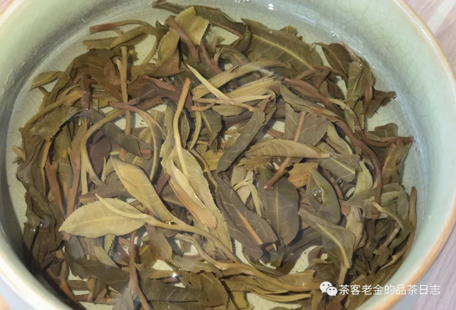 吾茶共饮2022年拼配茶品普洱茶