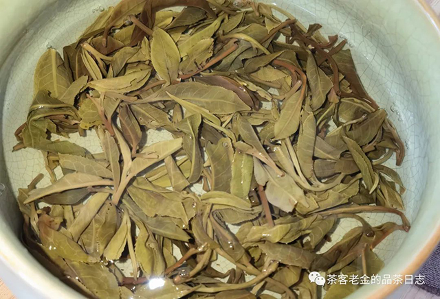 佤山茶人2022年墨江凤凰窝窝心古树普洱茶