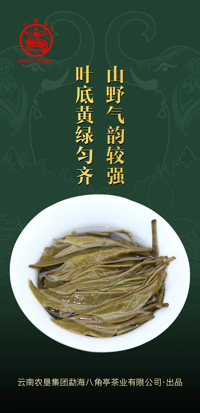 八角亭那卡大象七子饼茶普洱茶