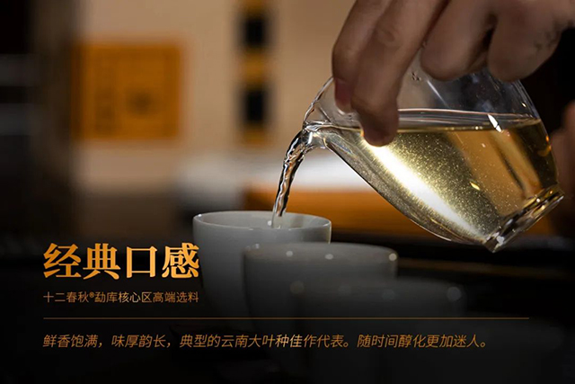 津乔普洱十二春秋壬寅虎普洱茶