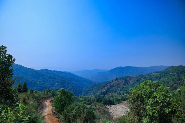 中茶普洱茶基地