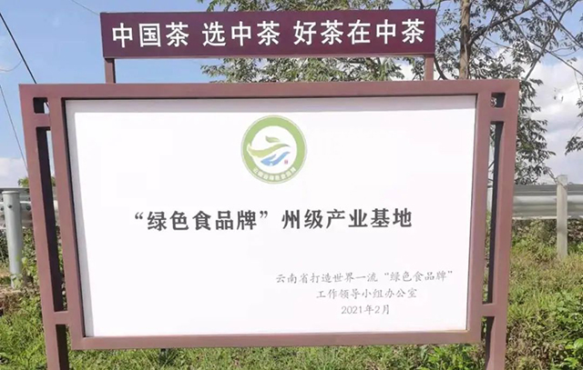 中国茶叶云南勐海坝卡囡普洱茶示范茶园基地