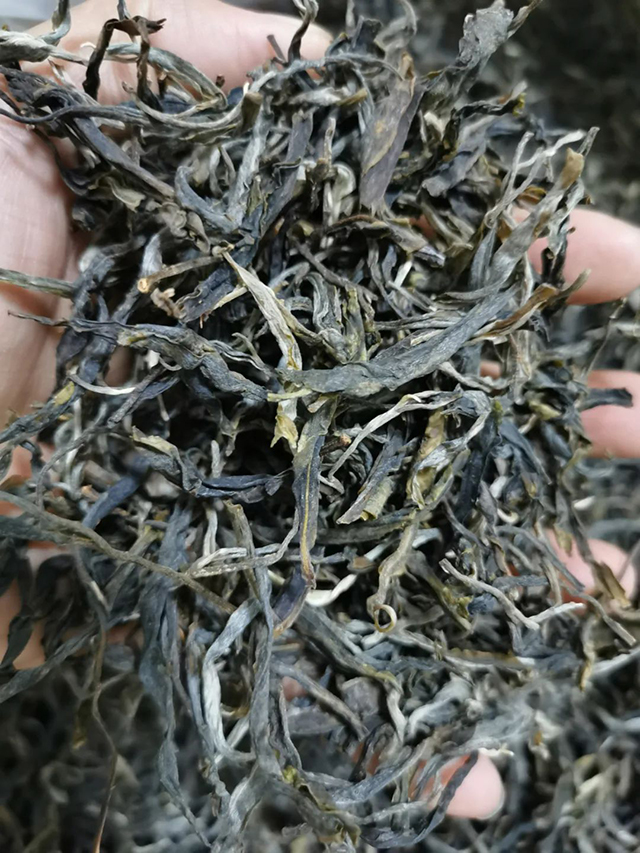 开元七子号普洱茶