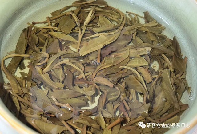 老爷说不将就2022年麻黑普洱茶
