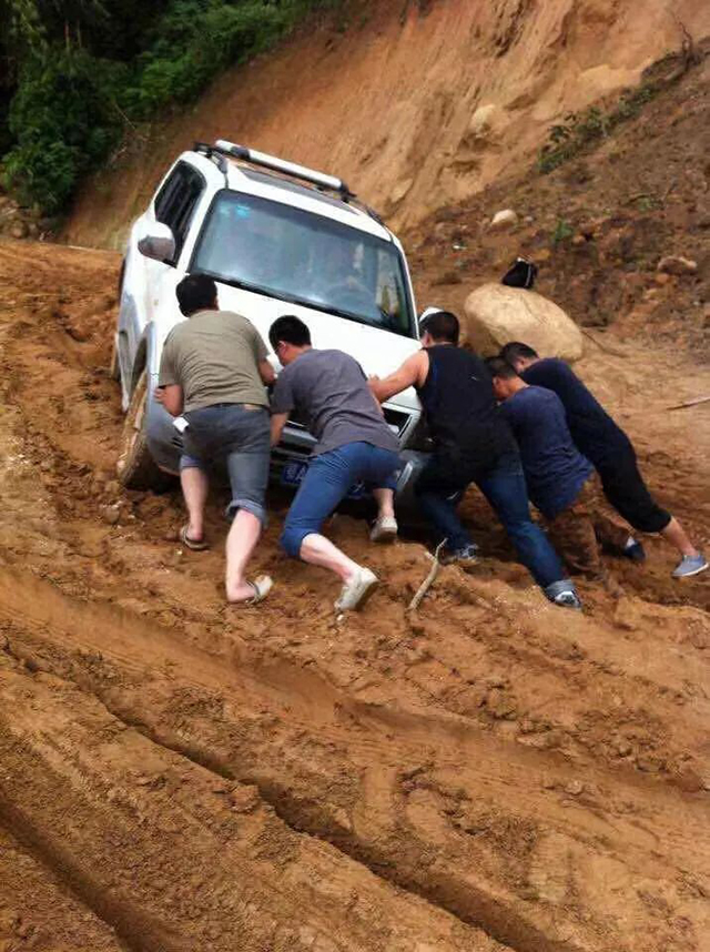 紫者老班章春茶