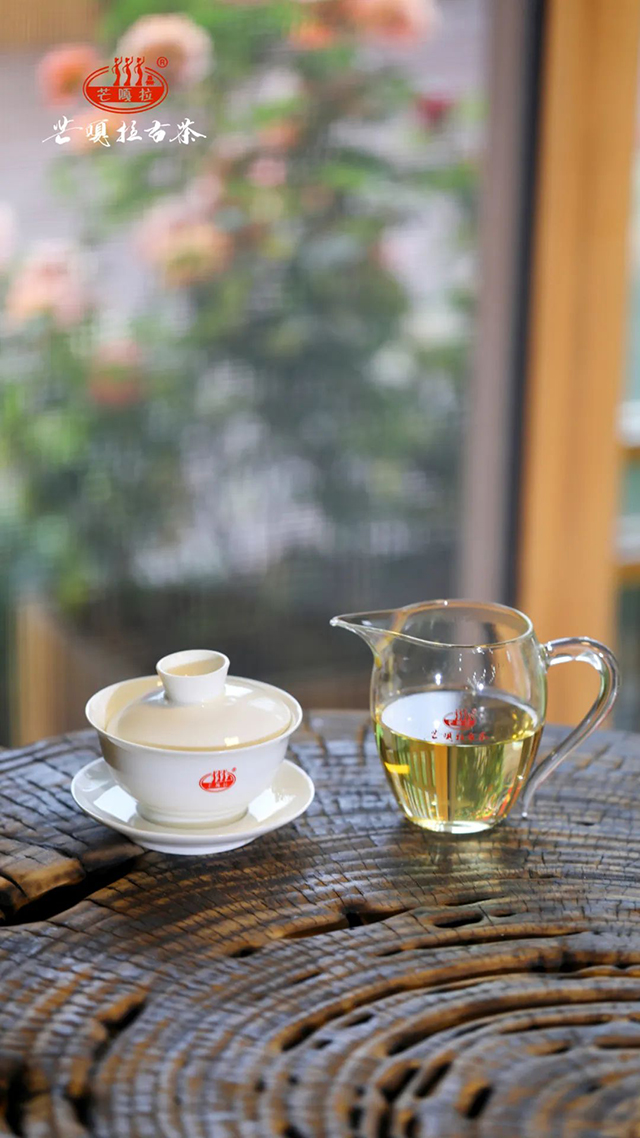芒嘎拉2022古树春茶上新