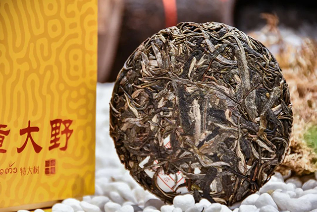 八角亭班章大野普洱茶