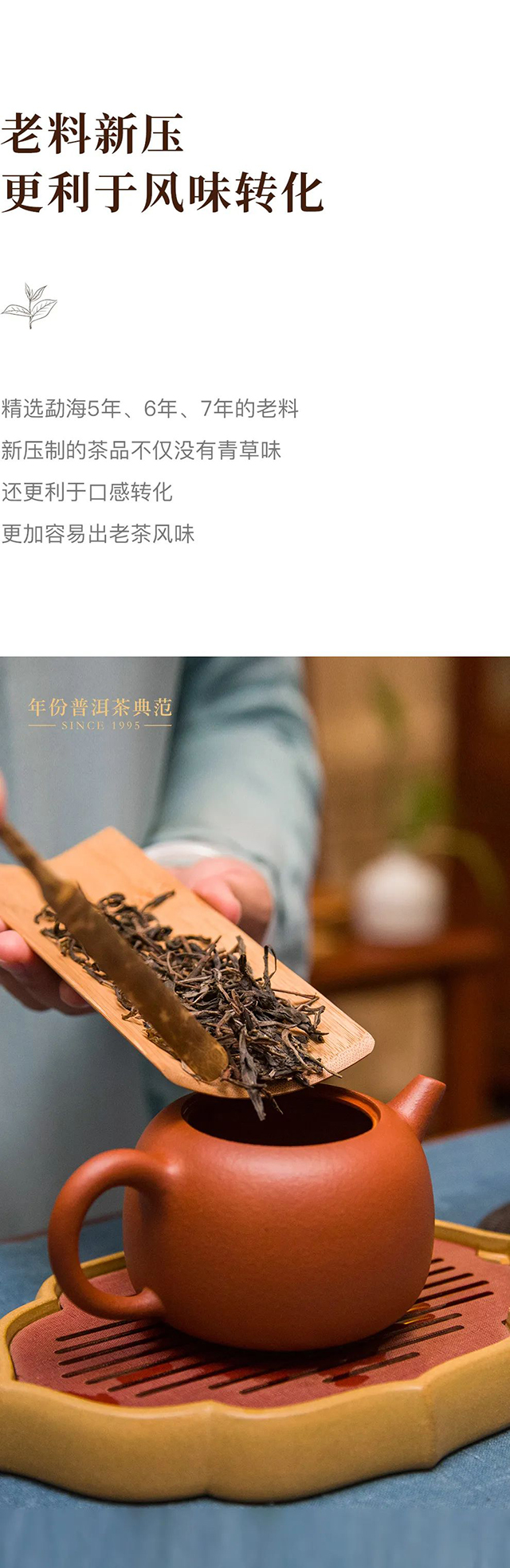 双陈传世印级普洱茶