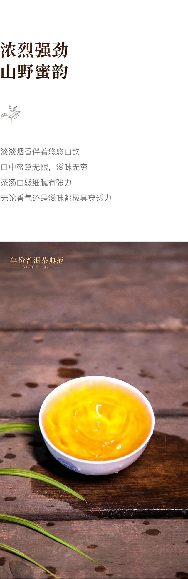 双陈传世印级普洱茶