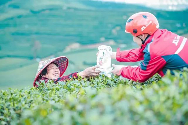 京东与茶区茶企深度合作建立春茶寄递绿色通道