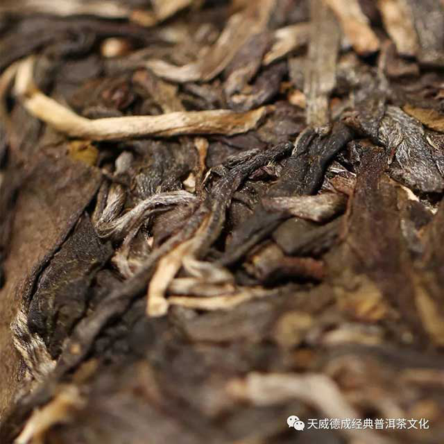 天威德成2022年玉韵雅月普洱茶