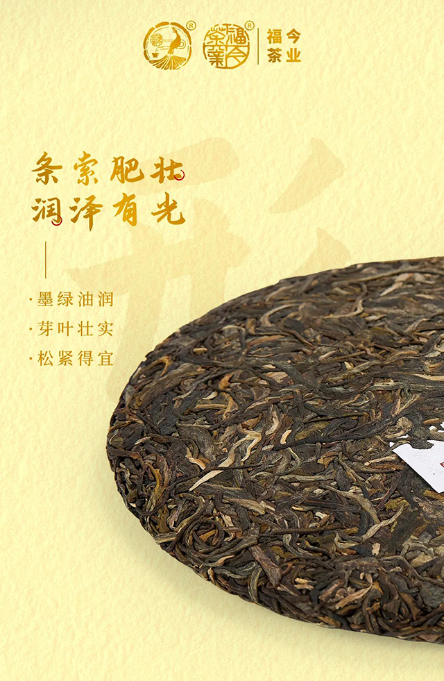 福今茶业初心青饼