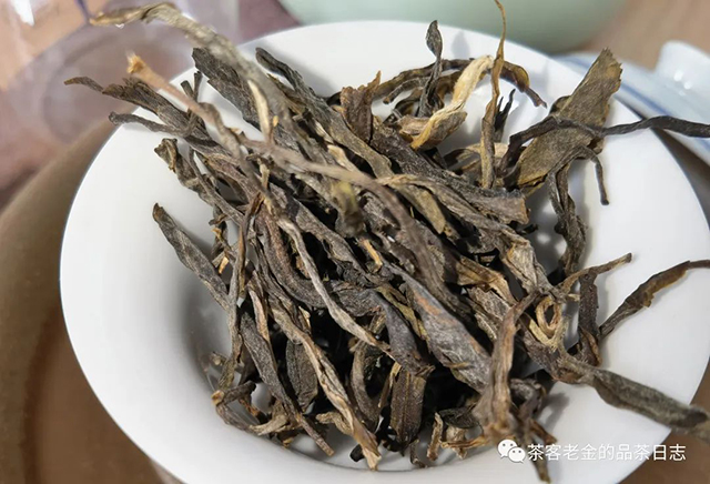 困鹿山制茶人2021年等闲普洱茶