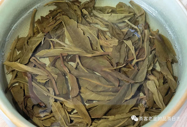 困鹿山制茶人2021年等闲普洱茶