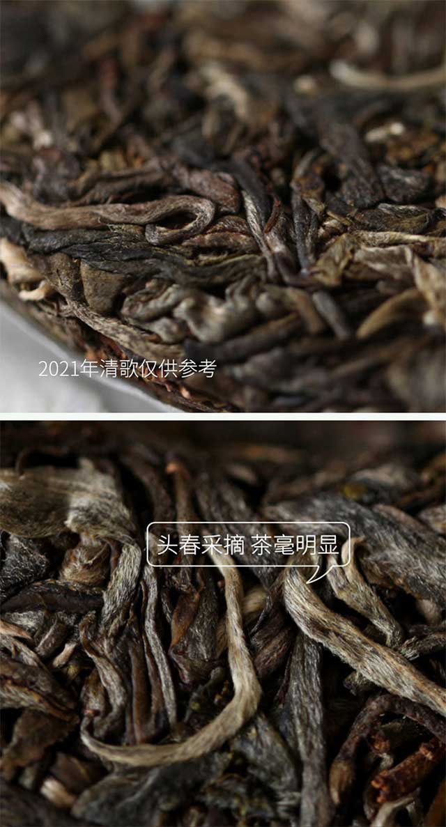 荣瑞祥2022年清歌普洱茶