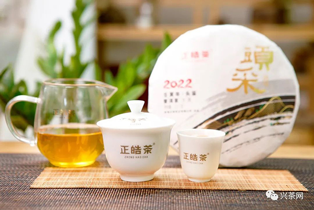 正皓茶2022头采普洱春茶