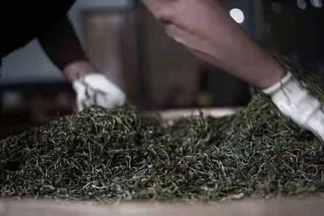暖暖说茶