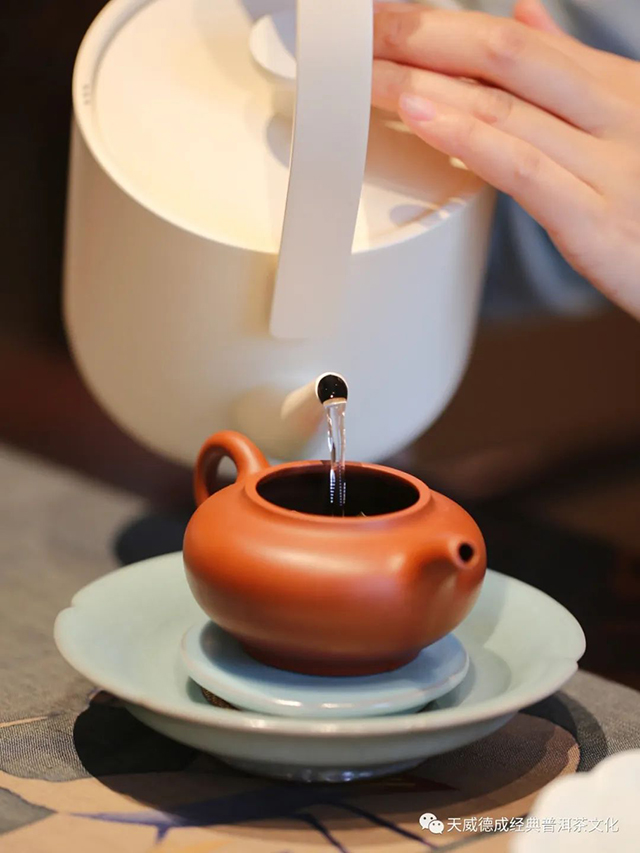 天威德成2022年天授普洱茶