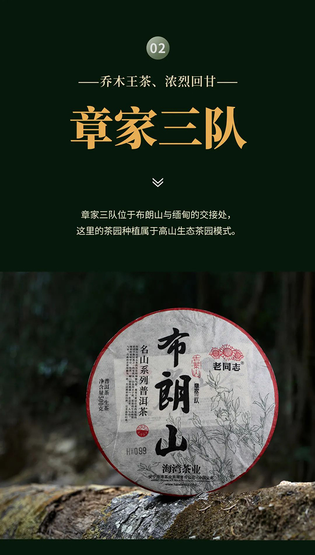 海湾茶业2022年老同志名山茶