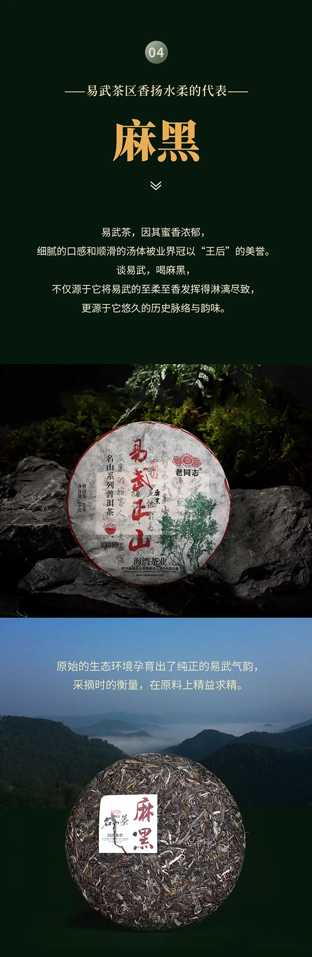 海湾茶业2022年老同志名山茶
