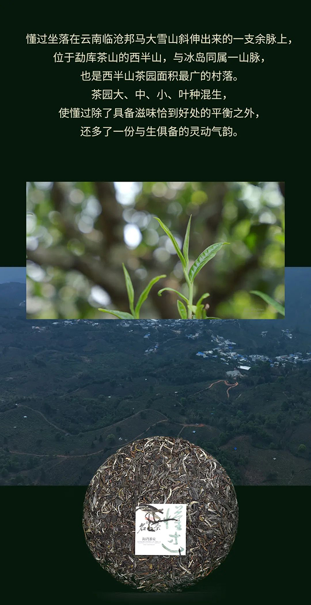 海湾茶业2022年老同志名山茶