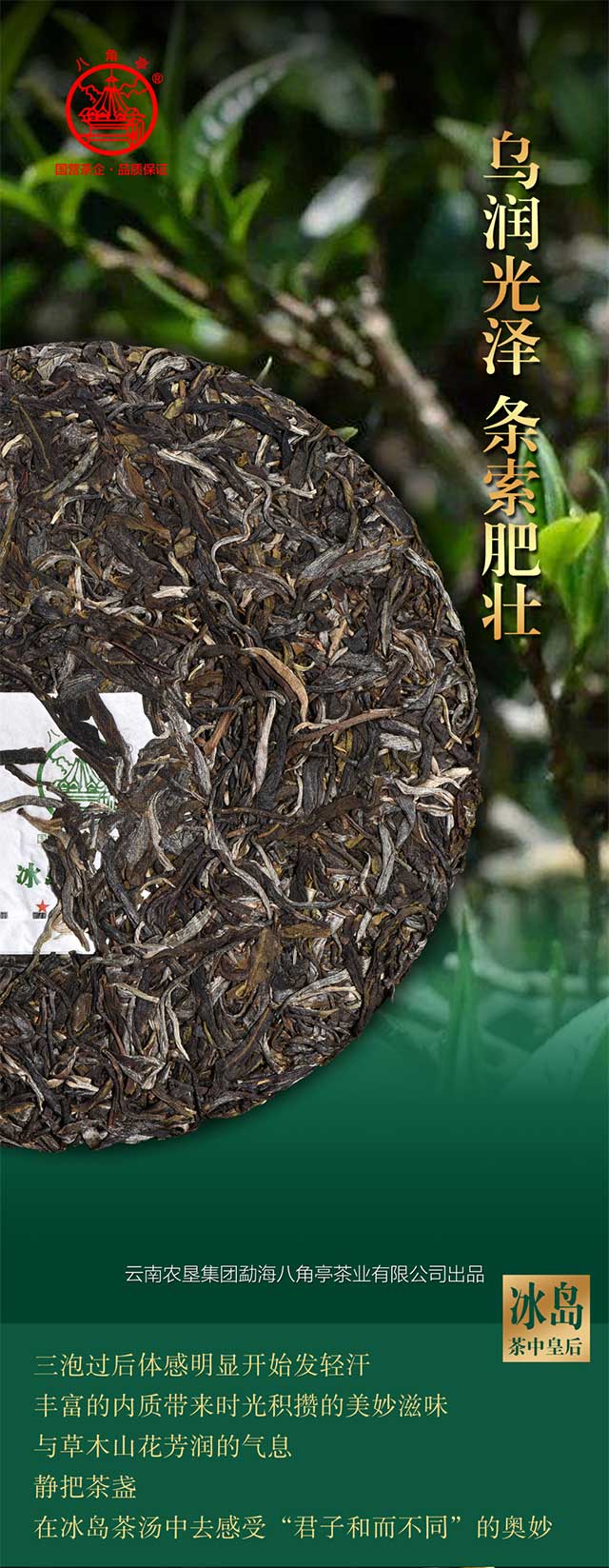 八角亭冰岛大树茶