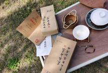 长安老碗喝白茶：苍山洱海系列八，妙贡堂天养野·知青林