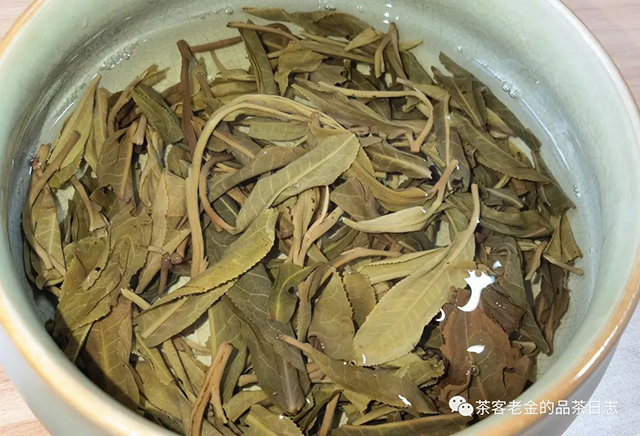 吾茶共饮菁瑶普洱茶