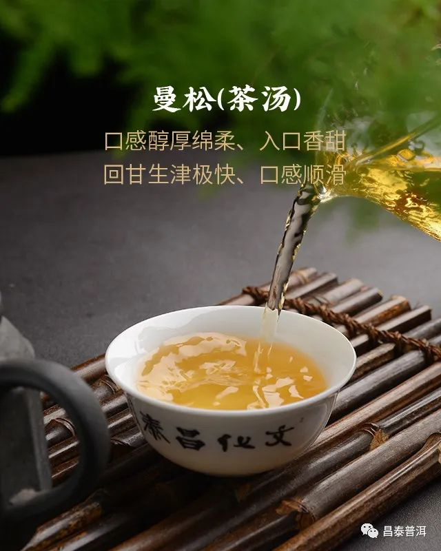 昌泰普洱2022年茶壶陈曼松普洱茶