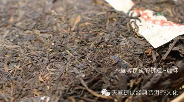 石昆牧经典茶文化