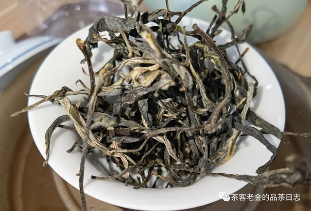 流星赶月2022年薄荷塘乔木春茶普洱茶