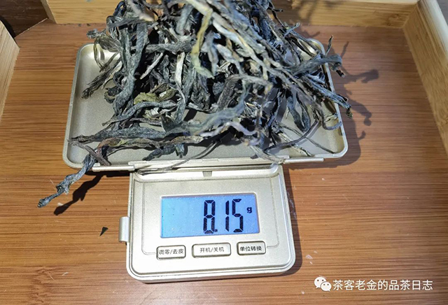 流星赶月2022年薄荷塘乔木春茶普洱茶