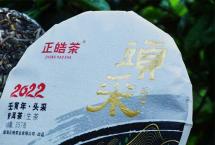 馥郁芬芳，甘甜鲜爽：正皓茶2022【头采】品鉴详情