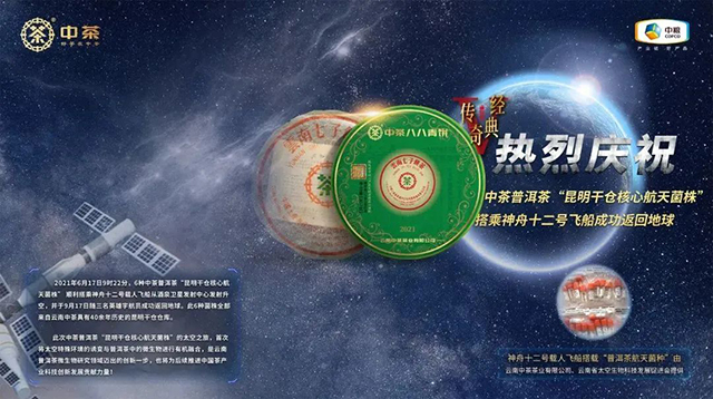 中茶核心菌株进入太空