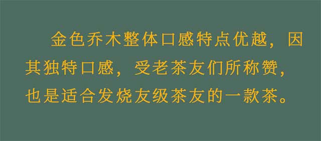 八角亭2022年金色乔木高山陈料青饼普洱茶