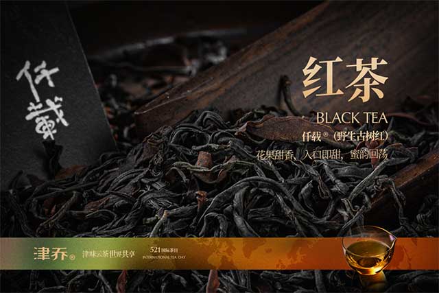 津乔普洱521国际茶日